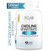 SOLAB Choline bartratrate 500 mg 90 capsules