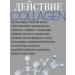 Enough Collagen Collagen set 3B1 - Buy Online on GoSupps.com