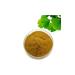 STOING Ginkgo bilobe powder flavonoids 24% carcass 100 grams - Buy Online on GoSupps.com