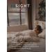 INsight Shampoo against oily skin - Buy Online on GoSupps.com
