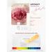 JMELLA Body cream Sparkling Rose Body Lotion - Buy Online on GoSupps.com