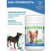 polidex Polivit-Ca Plus 60Tab calcium for dogs and puppies - Buy Online on GoSupps.com
