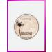 catrice Highlighter than Glow Highlighter 010