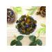 Give me some tea Black and green tea bathing 1001 fairy tale Classic 100 g - Buy Online on GoSupps.com