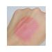 GEMIWAY Mineral blush Coral Blush 2 gr - Buy Online on GoSupps.com