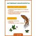 Consumed Ginseng syrup + l carnitine caffeine for energy and immunity - Buy Online on GoSupps.com
