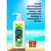 IT WILL BE Cleaner Toothpaste with a dispenser of forest balm total "grass" - 580g - Buy Online on GoSupps.com