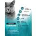 FORWARD ZOO Bezernary premium food for cats 1.8 kg hypoallergenic - Buy Online on GoSupps.com