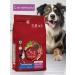 PURINA ONE Dry food dry 3.8 kg with lamb and rice - Buy Online on GoSupps.com