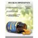 T rkiye Nutraxin - querecetin+bromelaine 30 tablets - Buy Online on GoSupps.com