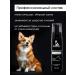 Doctor Groom Foam for dog wool shampoo without washing 200 ml - Buy Online on GoSupps.com