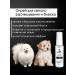 Doctor Groom Foam for dog wool shampoo without washing 200 ml - Buy Online on GoSupps.com