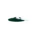 Hidalgo Ecodog spirulina vitami and 18 amino acids to dogs 100 g - Buy Online on GoSupps.com