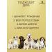 ProPhyto Shampoo for dogs and puppies therapeutic from dandruff and itching 500 ml - Buy Online on GoSupps.com