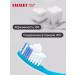 LACALUT Whitening toothpaste remineralizing 2pcs - Buy Online on GoSupps.com