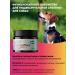 Favet Superflora Soft Chews treat for dog digestion - Buy Online on GoSupps.com