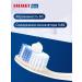 LACALUT Flora toothpaste for oral cavity 75 ml - Buy Online on GoSupps.com