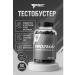 Trec Nutrition A powerful complex for increasing testosterone Prozma+ 90 caps