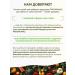 PROORGANIC Glucosamine chondroitin and MSM for joints and ligaments - Buy Online on GoSupps.com
