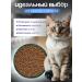 D-CaDo Pets Feed for cats with Atlantic fish Delicate Fish 1.5 kg - Buy Online on GoSupps.com