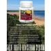 Extract-VIS Rhodiola pink extract capsules 0.4g No. 30 - Buy Online on GoSupps.com