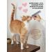 SECRET FOR PETS Cat a treat chicken and shrimp 450g - Buy Online on GoSupps.com