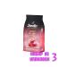 JARDIN Coffee in Cafe Eclair 1 kg. (3 pcs) 6016288