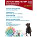 polidex Vitamins for dogs Super Wool Plus 500 Tab - Buy Online on GoSupps.com