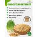 AltaiKrupaRF Oats Golorenny for germination 2 kg - Buy Online on GoSupps.com