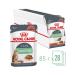 ROYAL CANIN Wet digest car for cats in sauce 85 g 28 pcs - Buy Online on GoSupps.com