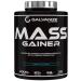 Galvanize Nutrition Gainer Galvanize Nutrishn Mass Gainer 3000 g