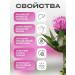 Swiss Milk Thistle Complex liver for liver - Buy Online on GoSupps.com