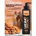 Whose tail Jorkshire terriers shampoo