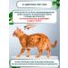 BioDoctor Drops from fleas and ticks for cats and dogs of small species 3 ml - Buy Online on GoSupps.com