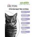 Hilton 2kg cat food with sensitive digestion of a turkey - Buy Online on GoSupps.com