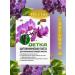 Orton Cytokinin paste for orchids and other plants 1.0ml*1UP