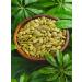 Healthy and Tasty Pumpkin seeds peeled raw 1 kg - Buy Online on GoSupps.com