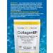 California Gold Nutrition Sea collagen drinking powder with vitamin C Collagen Up - Buy Online on GoSupps.com