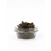 TLab Green oolnika ducklun 150 g - Buy Online on GoSupps.com