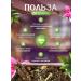 TLab Ivan Tea Granular Envalized 100 g - Buy Online on GoSupps.com
