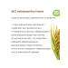 Rice proteins hydrolyzed - 100 ml - Buy Online on GoSupps.com