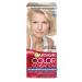 Garnier Cream for hair Color Sensation 101 - Buy Online on GoSupps.com