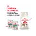 ROYAL CANIN Wet food for elderly cats over 7 years old - 85 g x 28 pcs - Buy Online on GoSupps.com