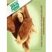 Country delicacies Rabbit ears with lamb meat 55 grams 10 packages - Buy Online on GoSupps.com