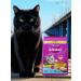WHISKAS Dry food for sterilized cats pillows chicken 1.3 kg - Buy Online on GoSupps.com