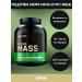 Optimum Nutrition Heiner Serious Mass 2720 g Vanil