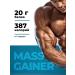 VitaMeal Gainer for gaining mass 1 kg Mass Gainer - Buy Online on GoSupps.com