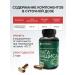Biostimul Birch chaga in capsules Reishi mushroom - Buy Online on GoSupps.com