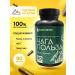 Biostimul Chaga in capsules Mumiyo Altai