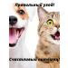 Cats&Pets Shampoo for cats and dogs deodorizing - Buy Online on GoSupps.com